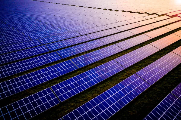 Pulzující Solární Panely Při Východu Slunce Moderní Solární Farmě — Stock fotografie