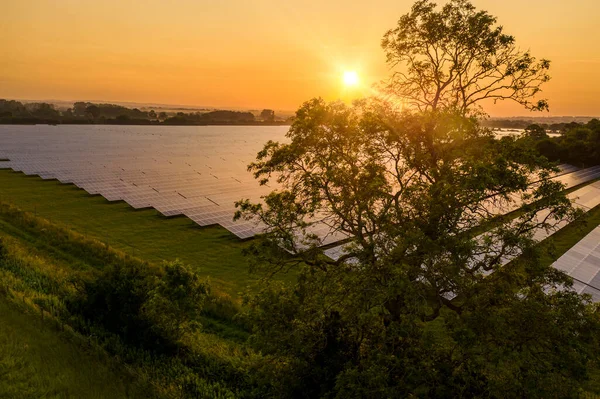 Solarpark Der Englischen Landschaft Bei Sonnenaufgang Mit Einer Großen Eiche — Stockfoto