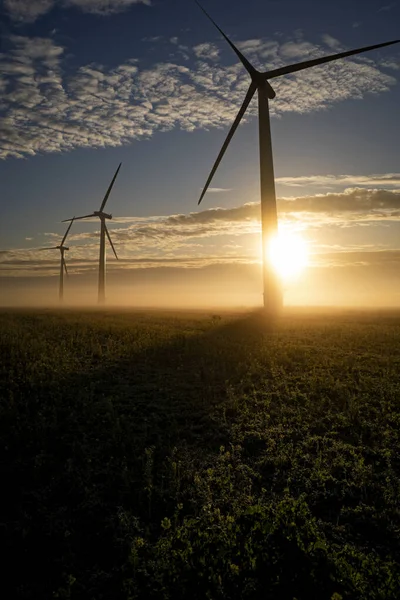 Three Commercial Wind Turbines Thick Fog Sunrise English Countryside Casting — Stock Photo, Image