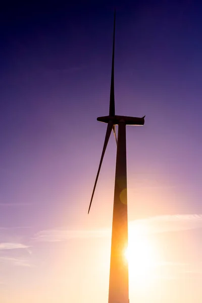 Kommerzielle Windkraftanlagen Bei Sonnenaufgang Einem Klaren Tag — Stockfoto