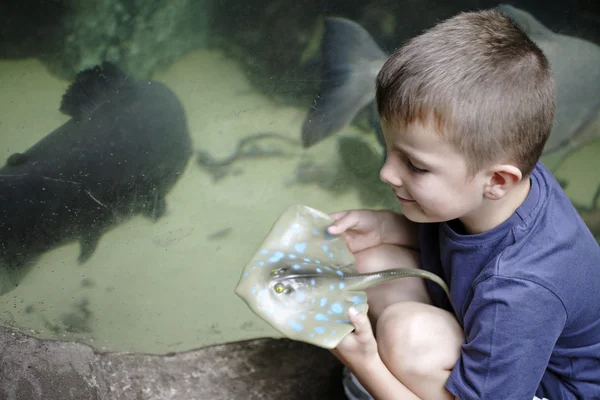 Ragazzo in un acquario con un giocattolo — Foto Stock