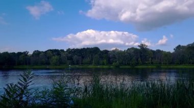 Idyllic natural landscape featuring a calm lake surrounded by lush green trees with white cumulus clouds moving across the blue sky and reflecting in the tranquil water on a peaceful summer day
