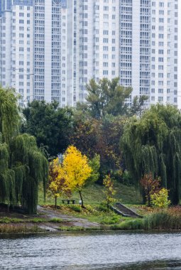 Waterfront park showcasing vibrant autumn trees, including a prominent yellow specimen and weeping willows, providing a tranquil contrast against the backdrop of towering modern city apartments