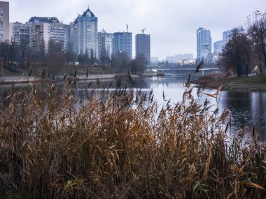 Kyiv 'in modern binalar ve mimari çeşitliliğin yer aldığı kentsel ufuk çizgisi, ön plandaki kuru sazlıklar tarafından çerçevelenen Rusanivka Kanalı' nın durgun sularına yansıdı.