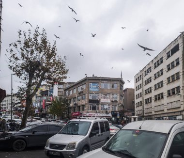 İstanbul, Türkiye - 8 Aralık 2025, Gulls karışık tarihi ve modern binalar, arabalar ve bulutlu gökyüzünün altında yalnız bir ağaç ile dolu İstanbul caddesi üzerinde süzülüyor