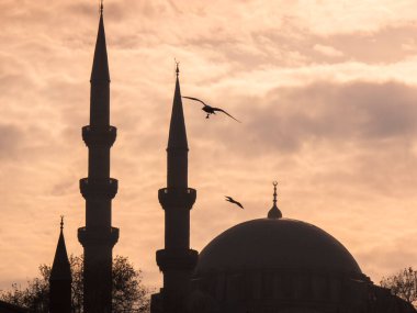 İstanbul camisi ve minareleri, alacakaranlıkta dramatik bir turuncu gökyüzüne karşı, kuşlar uçuşuyor, seyahat, maneviyat ve huzurlu bir akşam yolculuğunu simgeliyor.