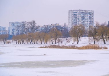Donmuş göl yüzeyi, karla kaplı bir kıyıya doğru uzanıyor. İçlerinde çıplak söğüt ağaçları var. Uzak kentsel apartmanlar, yumuşak bir kış gökyüzünün altında görülebiliyor.