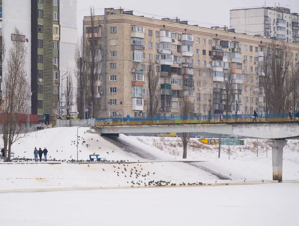 Şehir, donmuş bir nehrin üzerindeki yaya köprüsünde yürüyen insanlarla karlı bir kış gününü tasvir ediyor. Su kenarında toplanan güvercin sürüsü ve arka plandaki yerleşim binaları.
