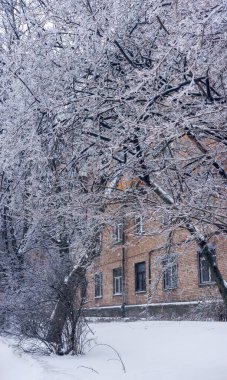 Ağaç dalları kalın buzullarda parıldıyor soğuk kış ışığı altında tuğladan bir binaya ve karla kaplı zemine vuruyor, sert dondurucu sıcaklıkları ve durgunluğu çağrıştırıyor.