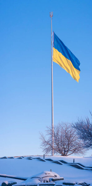 Ukrainian national flag featuring blue and yellow colors and the golden trident emblem, waving proudly on a flagpole above snow-covered ground and dormant trees during a winter day
