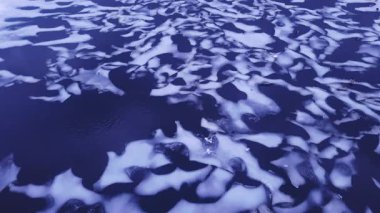 Eriyen buz kütleleri ile soğuk mavi su arka planında yavaşça sürüklenen ve soyut desenler oluşturan martılar kış günü tepemizde uçarken büyüleyici bir doğal doku oluşturur.