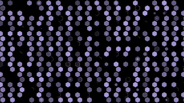 Set Seamless Contour Hexagon Background — Stock Video