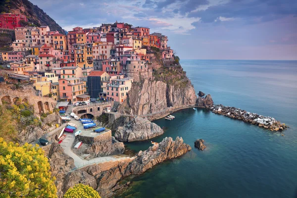 Manarola 市. — 图库照片