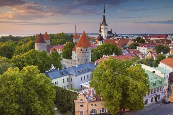 Stadt Tallinn. — Stockfoto