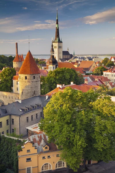 Tallinn városa. — Stock Fotó