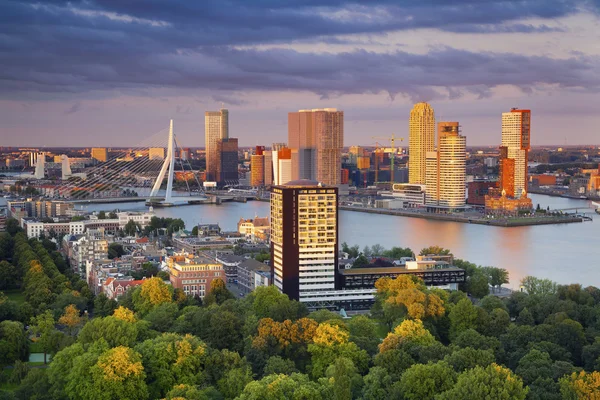 Rotterdam város. — Stock Fotó
