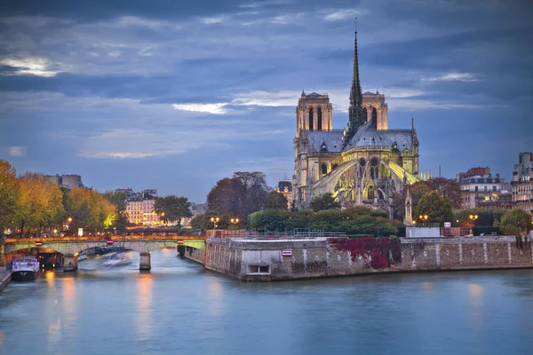 Catedral de Notre Dame, Paris . — Fotografia de Stock