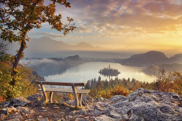 Lago de otoño Bled . — Foto de Stock