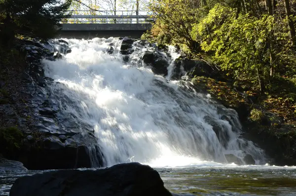 Rivière puissante ruisseau dans la campagne — Photo