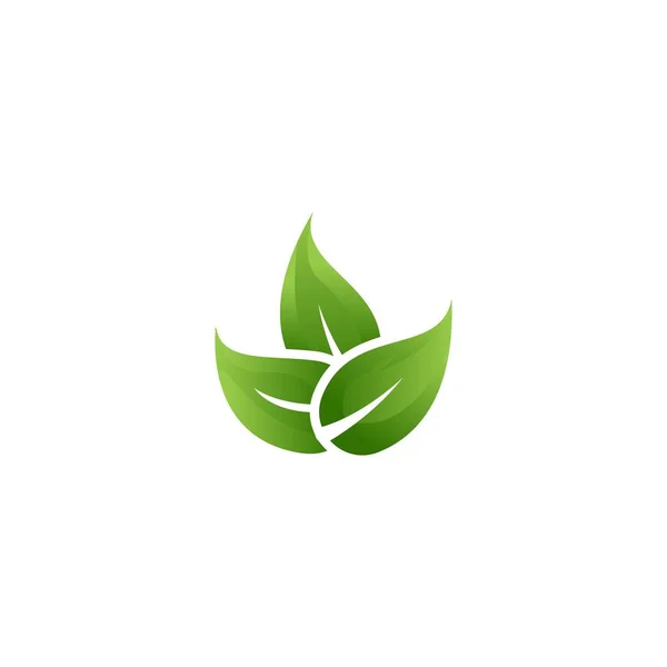 Grönt Löv Löv Vektor Logotyp Ikon Mall — Stock vektor