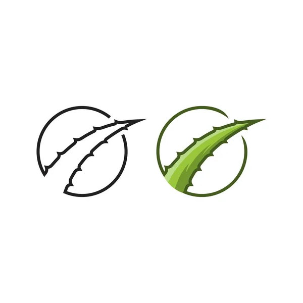 Aloe Vera Vector Logotipo Icono Plantilla — Vector de stock