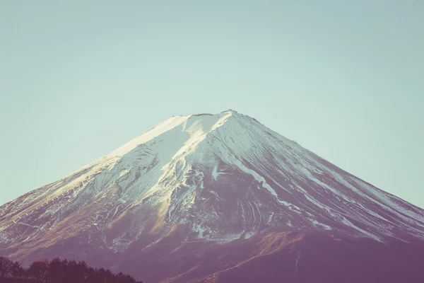 Mt 富士クローズ アップ レトロなスタイル — ストック写真