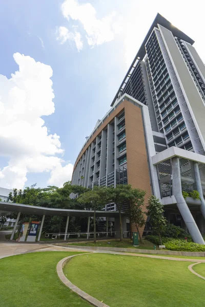 Singapur Ulusal Üniversitesi (Nus)