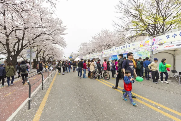 身份不明的人走在汝矣岛春节花 — 图库照片#