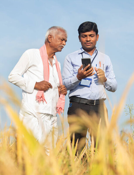 Farmer and banker or corporate government officer discussing by looking into mobile phone about crop yield, credit and loan subsidy at agriculture farmland during hot sunny day