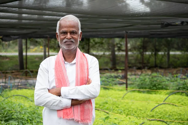 Medium Close Schot Van Lachende Senior Inidan Farmer Met Armen — Stockfoto