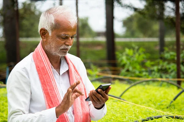 Indian Farmer Busy Using Mobile Phone While Sitting Crop Seedlings — Stock Photo, Image