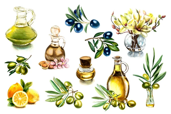 Elementsatz Zur Etikettengestaltung Aquarell Illustrationen Von Olivenzweigen Und Flaschen Mit — Stockfoto