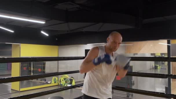 Kickboxer在低光体育馆训练 运动员拳击在镜头 拳击手打拳时带相机晃动的中镜头 — 图库视频影像