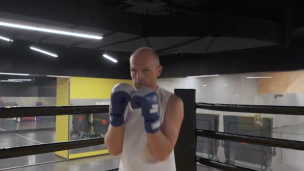 Kickboxer Shadow Boxing Exercise Big Fight — Stok Video