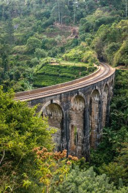 Nine Arch Bridge. Ella, Sri Lanka.