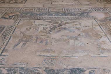 Türkiye 'nin Antalya kenti yakınlarındaki antik Yunan kenti Perge' de mozaikler. Perge, Türkiye 'nin güney Akdeniz kıyısında antik bir Yunan kentidir..