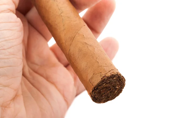 Cigarr i manlig hand. — Stockfoto