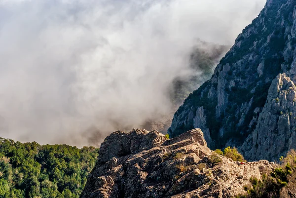 Vista de rocha e nevoeiro — Fotografia de Stock