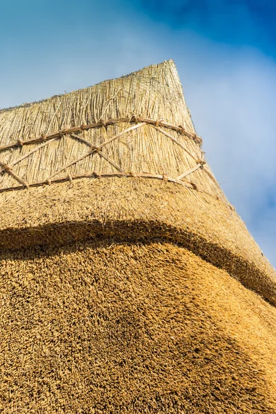 Spitze eines frisch reetgedeckten Hüttendachs — Stockfoto