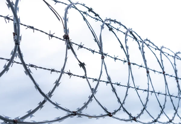 Coiled razor and barbed wire fence — Stock Photo, Image