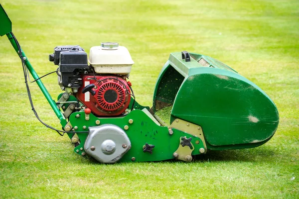 老绿色式动力割草机割草坪 — 图库照片