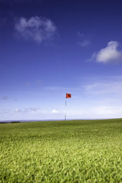 Flaga golf pojedynczy — Zdjęcie stockowe