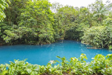 Rio Celeste, Tenorio volkanı Ulusal Parkı, Kosta Rika