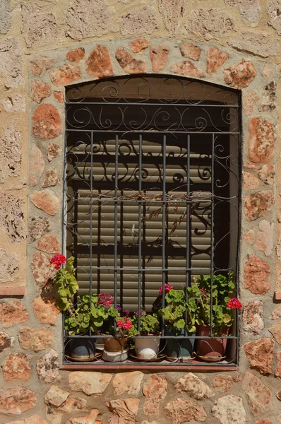 pencereden sardunyalar ile