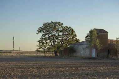Gün batımında eski bir inşaatın yanındaki ağaç manzaralı.