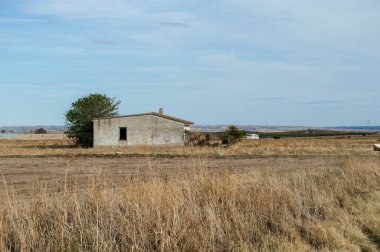 Toledo 'da terk edilmiş bir evin yanındaki kuru tarlada. İspanya
