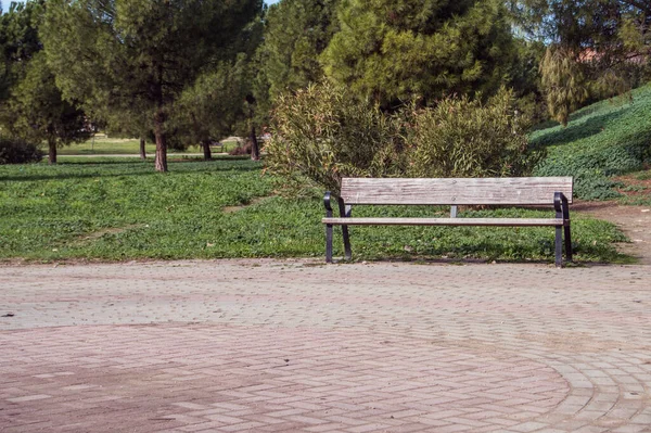 Pad Díszfák Egy Nyilvános Parkban Madridban Spanyolország — Stock Fotó