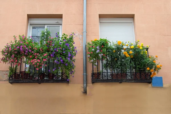 Facciata Con Due Balconi Pentole Con Fiori Colorati Sulla Ringhiera — Foto Stock