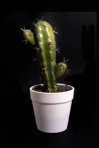 Kleiner Künstlicher Kaktus Mit Weißem Topf Isoliert Auf Weißem Hintergrund — Stockfoto