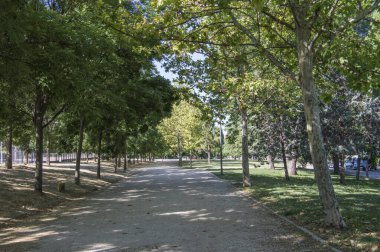 Madrid 'deki bir parkta ağaçlı patika yolu. İspanya